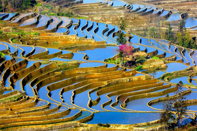Yuanyang Hani Terraces Scenic Spot, China